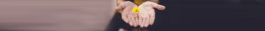 selective focus photography of woman holding yellow petaled flowers