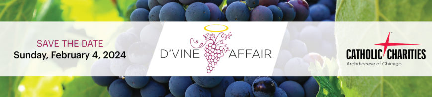 d'Vine Affair event banner with logo